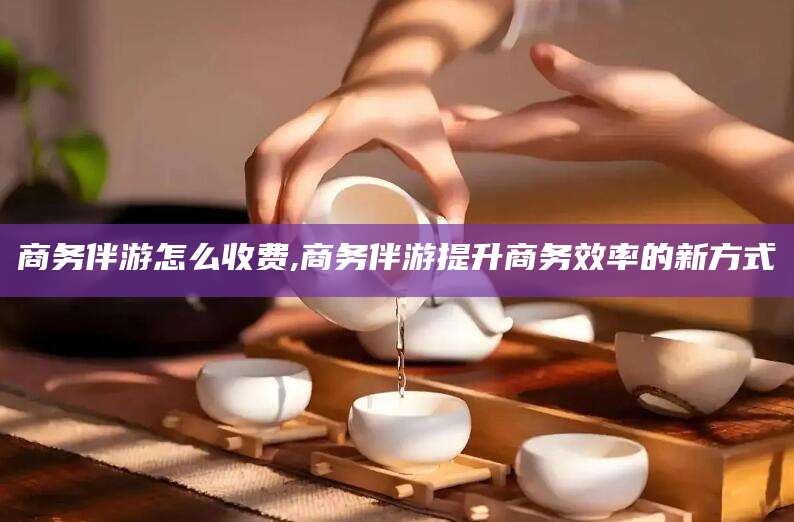 枣阳商务伴游怎么收费,商务伴游提升商务效率的新方式