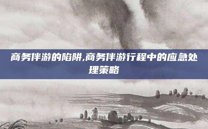 枣阳商务伴游的陷阱,商务伴游行程中的应急处理策略